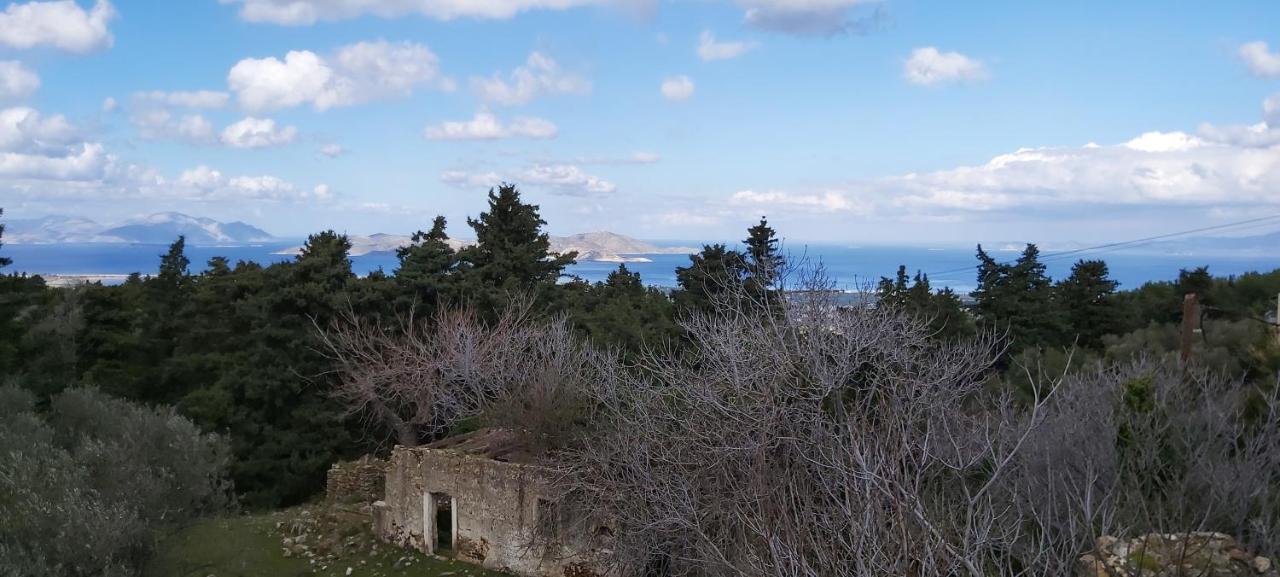 Traditional House In Asfendiou Agios Dimitrios  Exterior foto